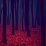 Thumbnail of post image 157