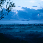 Thumbnail of post image 138