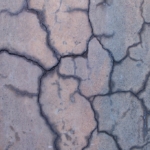 Thumbnail of post image 015