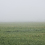 Thumbnail of post image 125