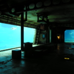 Thumbnail of post image 125