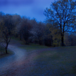 Thumbnail of post image 107