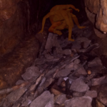 Thumbnail of post image 067