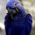 Thumbnail of post image 042